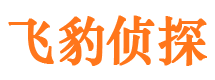 铁山侦探公司